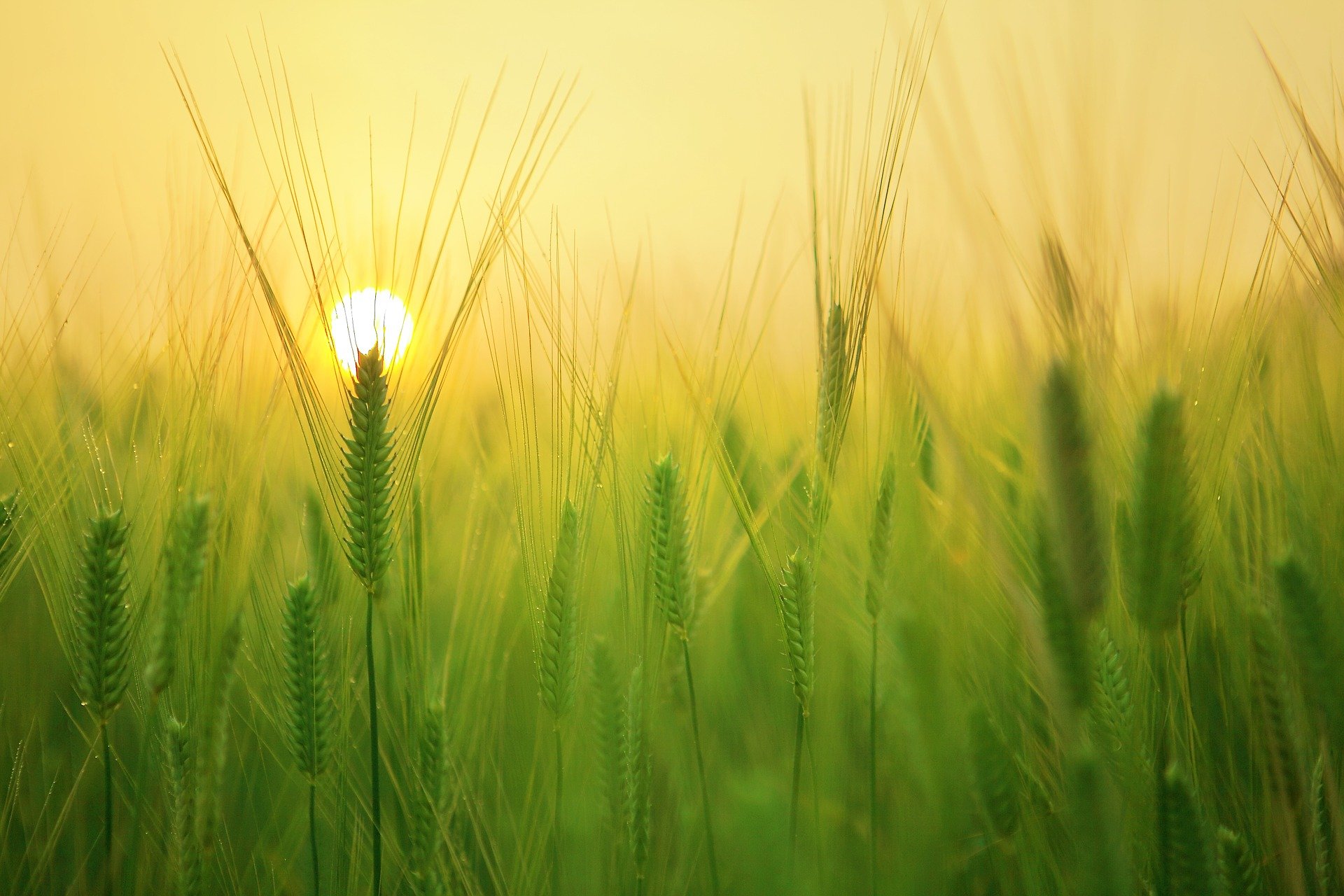 Casting comédien, 20 ans, pour un film publicitaire d&rsquo;une marque agro-alimentaire