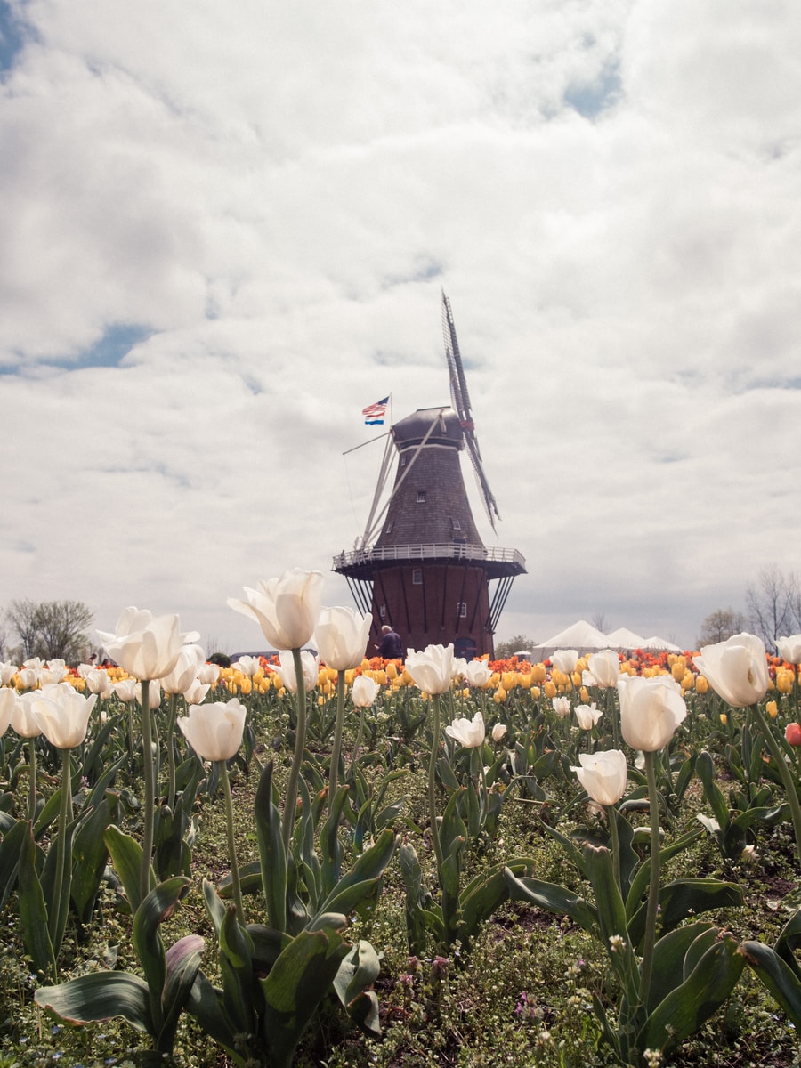 Casting figurants pour le film Hollandais Homeward réalisé par Jet De Jonge tourné à Charleville-Mézières