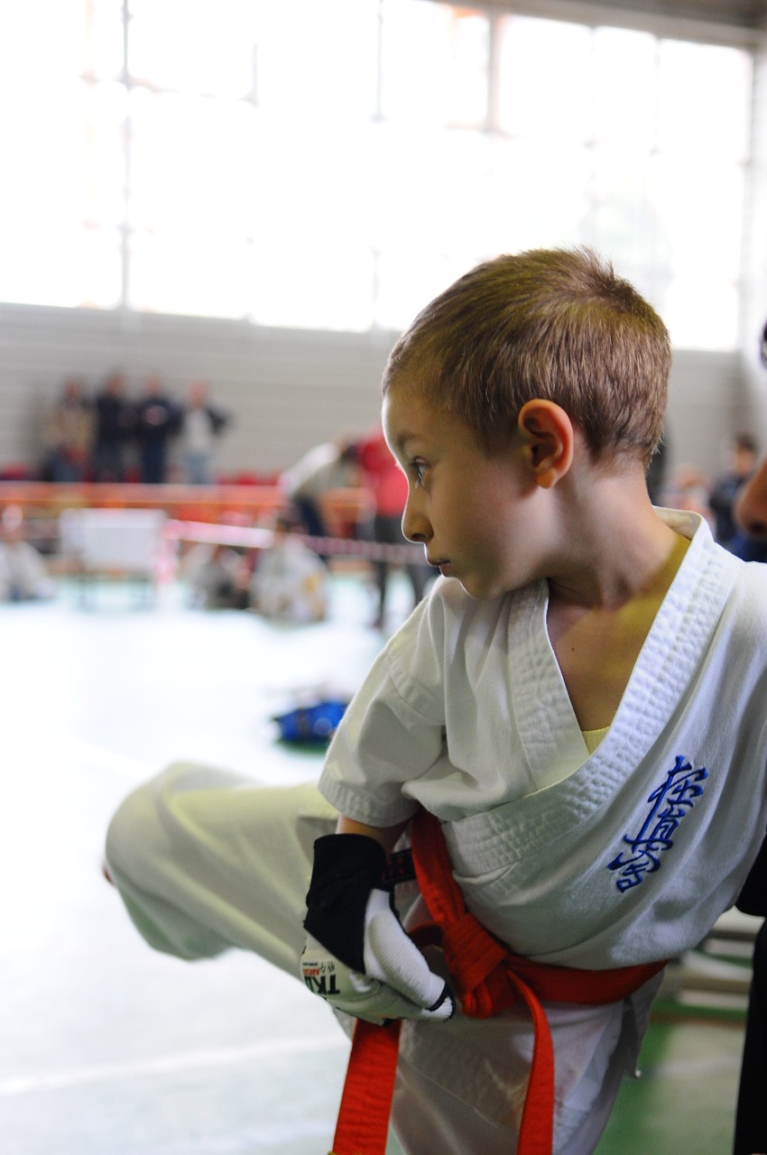 Casting figurants enfants de 7 à 13 ans pratiquant des sports de combat pour une série destinée à une plateforme