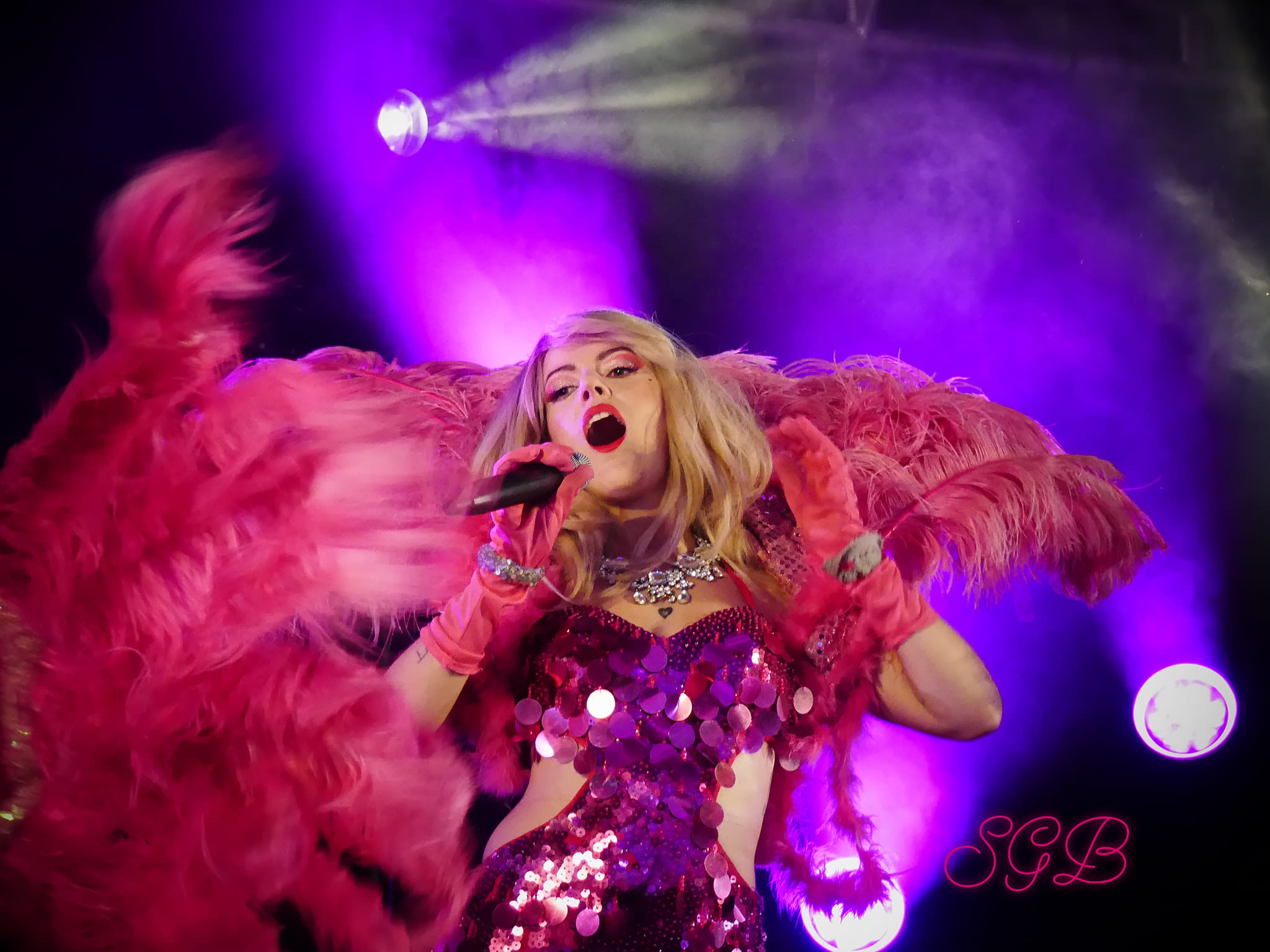 Audition Chanteuse Animatrice pour des spectacles à thème basée sur Bordeaux