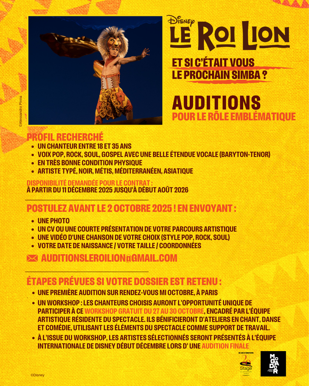 Audition chanteur typés de 18 à 35 ans pour le rôle de Simba pour la comédie musicale le Roi Lion