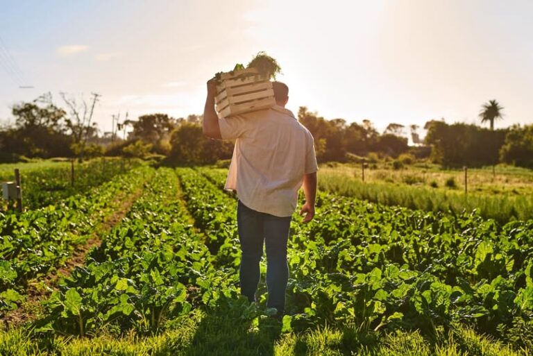 Casting travailleur agricole vigneron