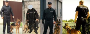 Casting agents de sécurité chien pour Malik
