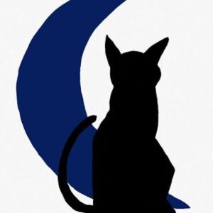 Casting comédiens et comédiennes pour la compagnie Bleu Noir
