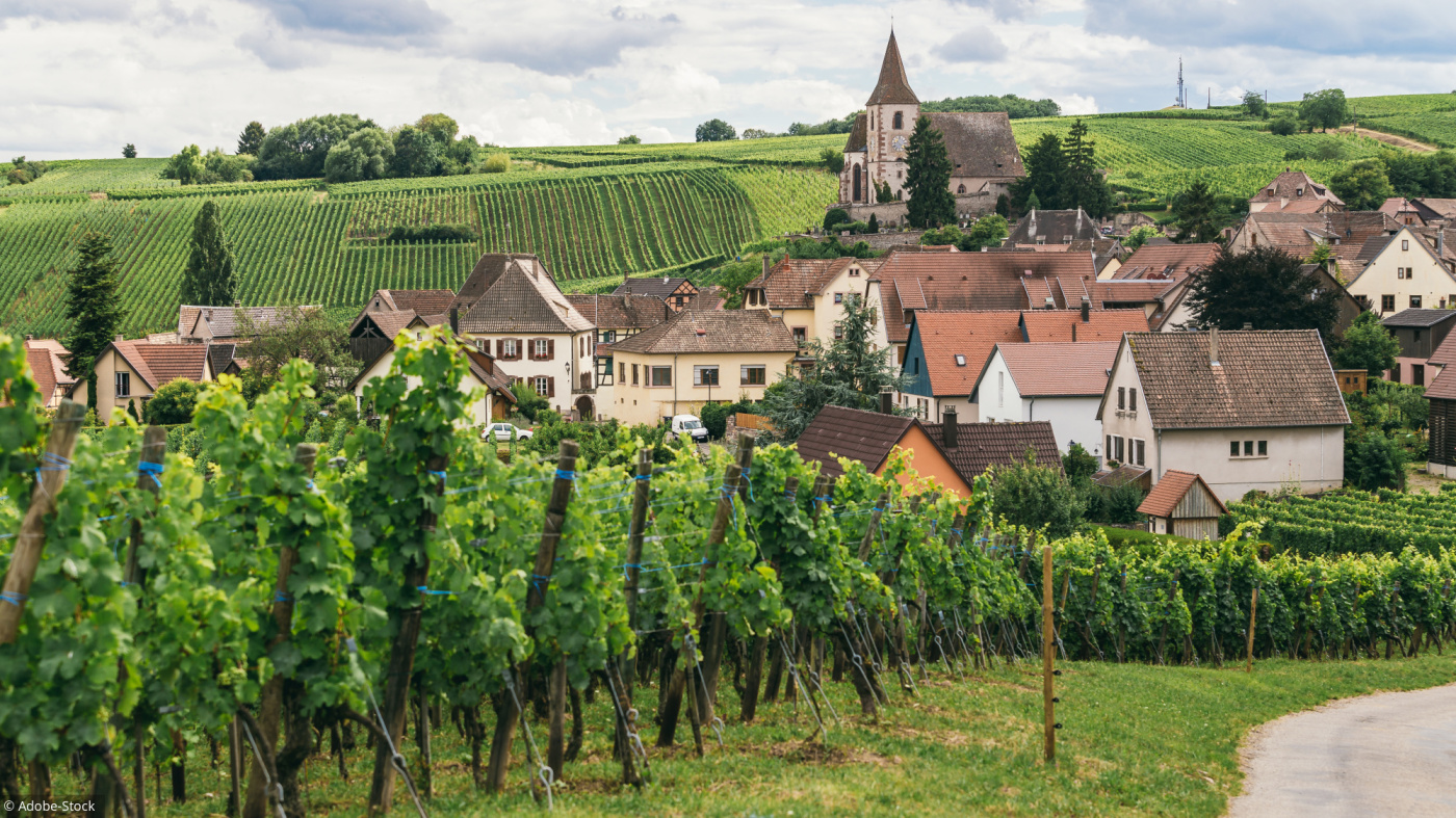 Casting comédiens pour rôles rémunérés dans le court-métrage d’Antoine Pinson « Que la Famille », tourné en Bourgogne