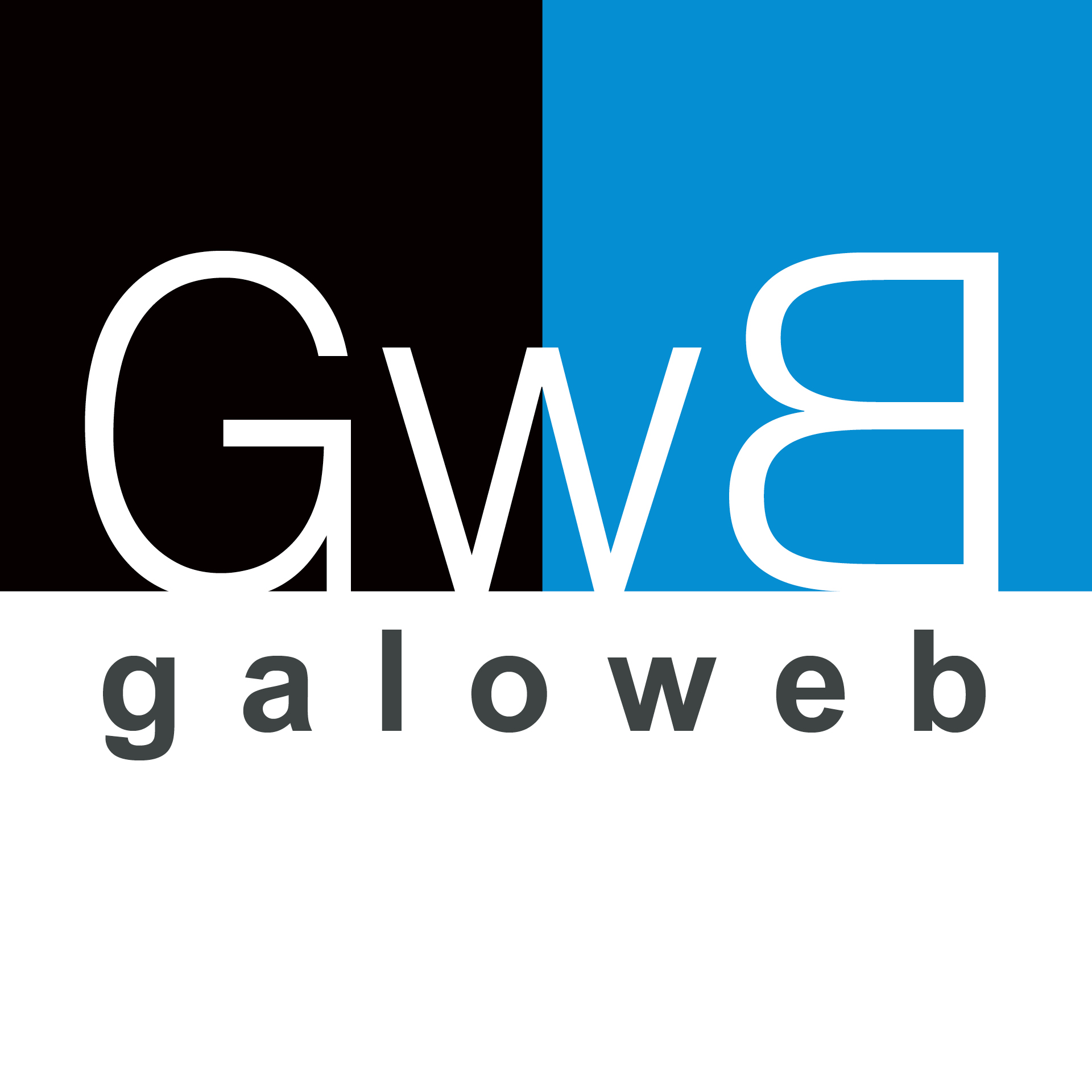Animateur d&rsquo;émissions en gallo (langue gallèse)