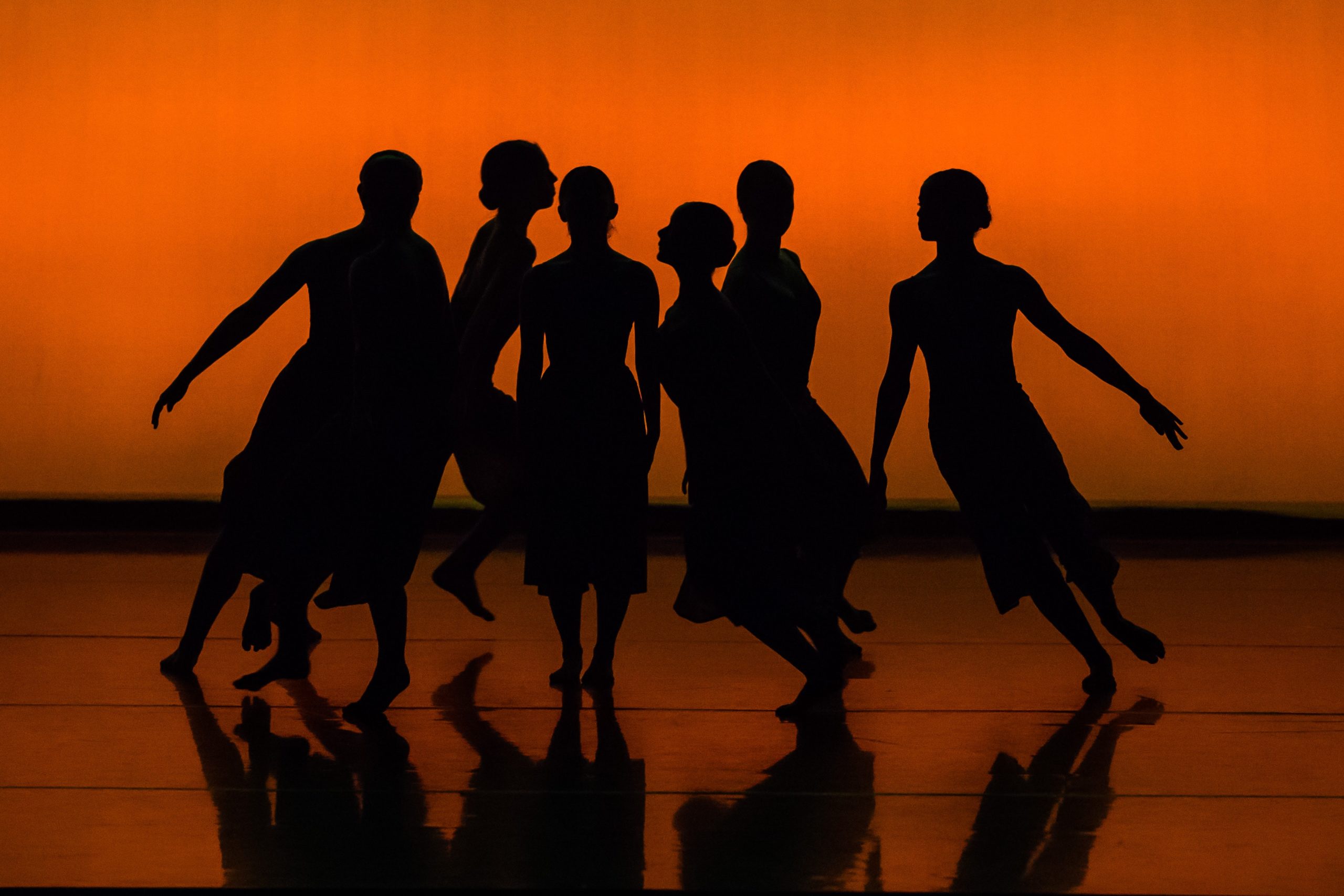 Casting danseuses pour la nouvelle production de « Thannhäuser » mis en scène par David Hermann à l&rsquo;Opéra de Lyon